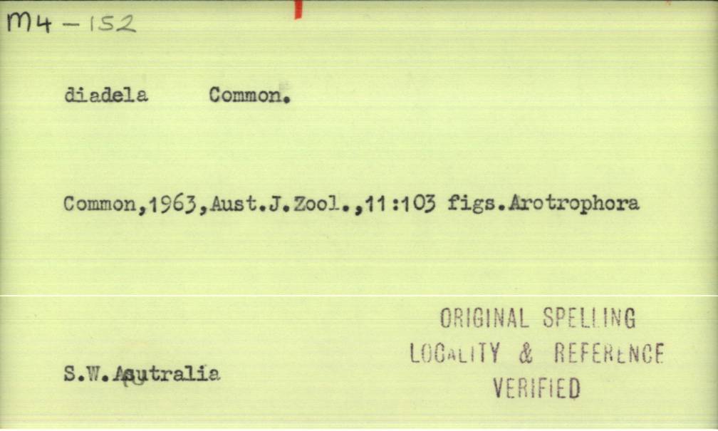 front of card